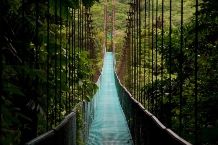 Costa Rica Bridge in the Jungle